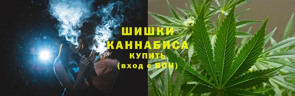 сатива Кулебаки