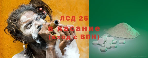сатива Кулебаки