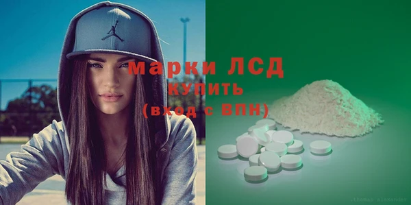 сатива Кулебаки