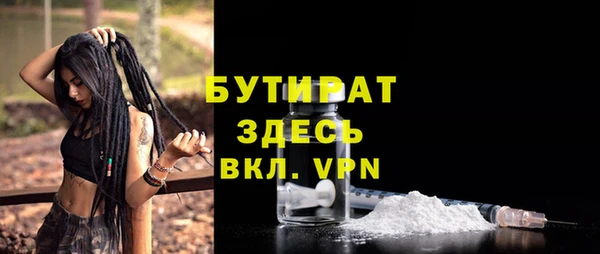 сатива Кулебаки