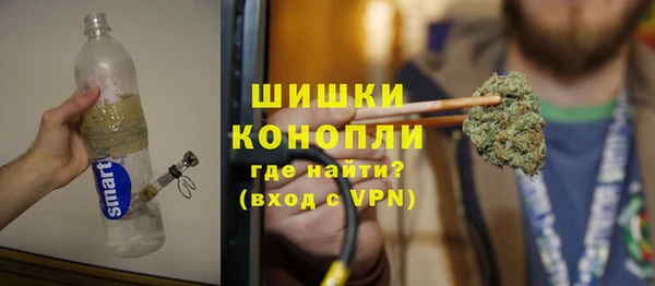 сатива Кулебаки