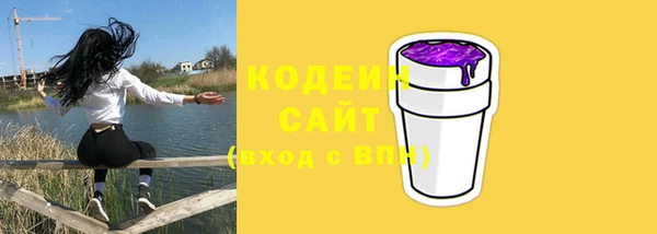 сатива Кулебаки