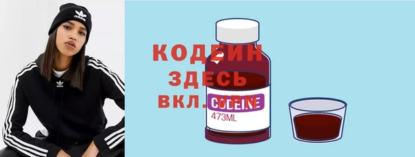 сатива Кулебаки
