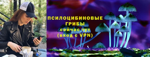 сатива Кулебаки