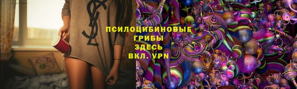 сатива Кулебаки