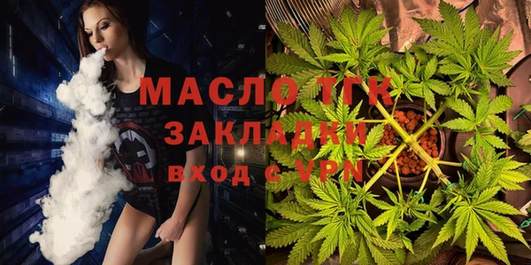 сатива Кулебаки