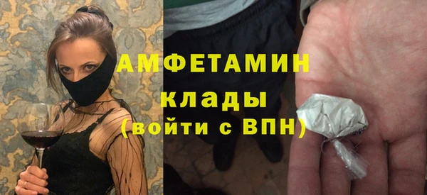 сатива Кулебаки