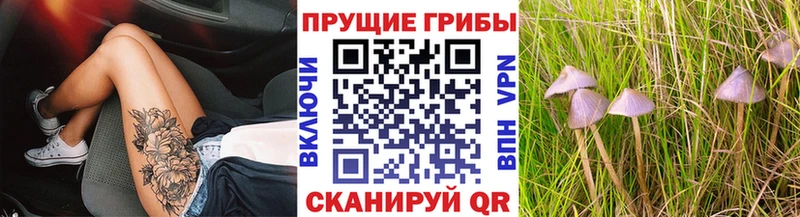 Псилоцибиновые грибы MAGIC MUSHROOMS Сясьстрой