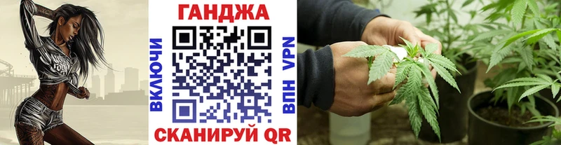 Шишки марихуана конопля Сясьстрой